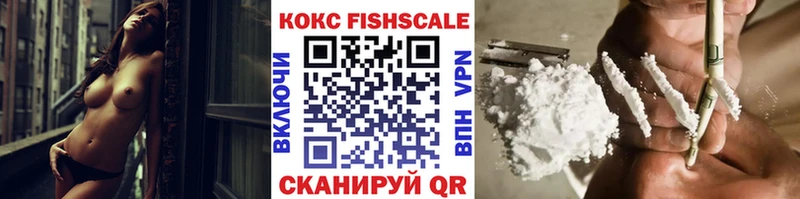 Купить закладки  Железногорск-Илимский  Cocaine Эквадор 