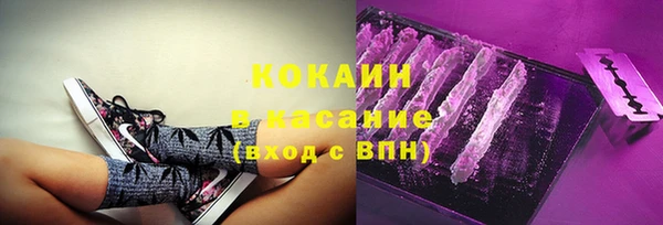ECSTASY Богородицк