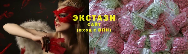 ECSTASY Богородицк