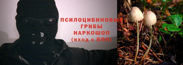 ECSTASY Богородицк