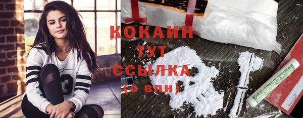 соль курить ск Богданович