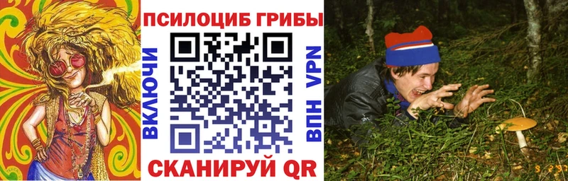 Купить  Железногорск-Илимский  Псилоцибиновые грибы мухоморы 
